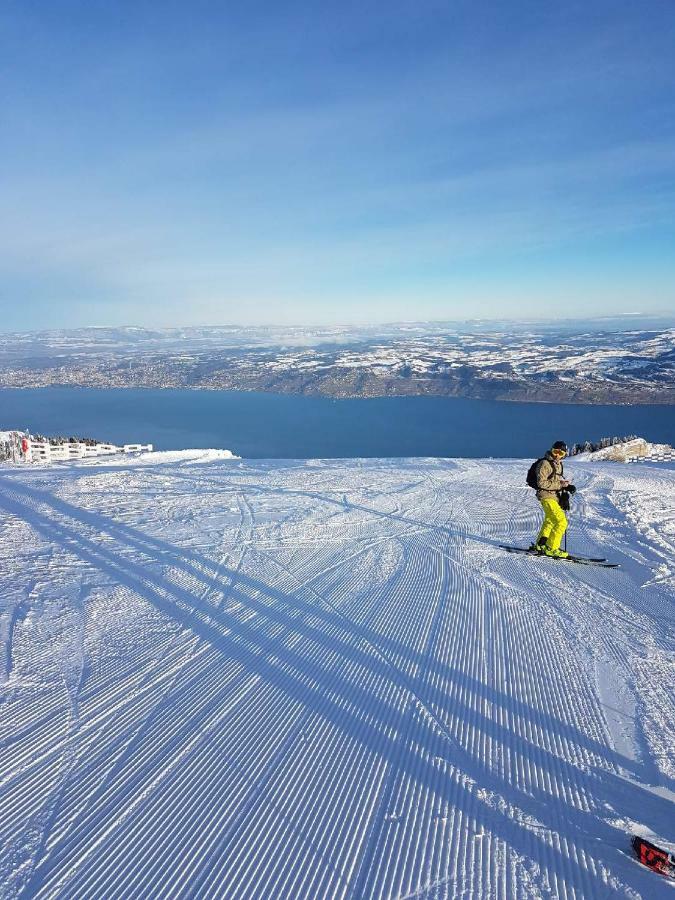 Telemark 11 Thollon-les-Memises Dış mekan fotoğraf